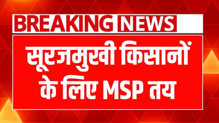 हरियाणा में सूरजमुखी खरीद की शुरुआत, किसानों को मिलेगा 7,280 रुपये का MSP!