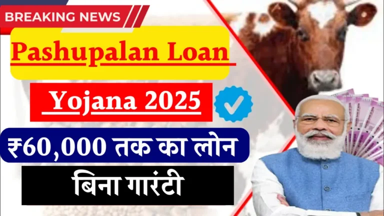 पशुपालन लोन योजना 2025: जानें कैसे पाएं ₹12 लाख तक का लोन!