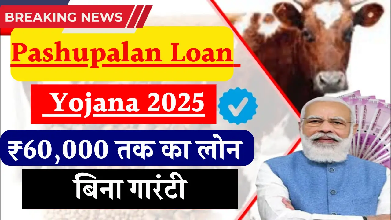 पशुपालन लोन योजना 2025: जानें कैसे पाएं ₹12 लाख तक का लोन!