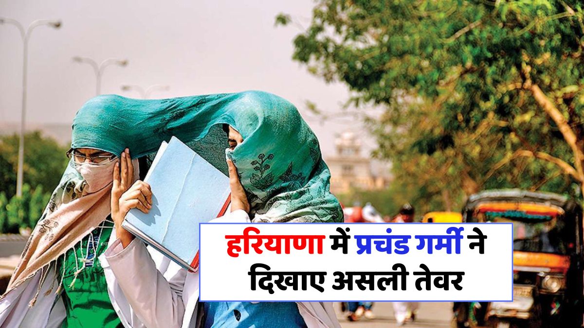 हरियाणा में भयंकर गर्मी: जानें हीटवेव से बचने के उपाय और राहत की खबरें