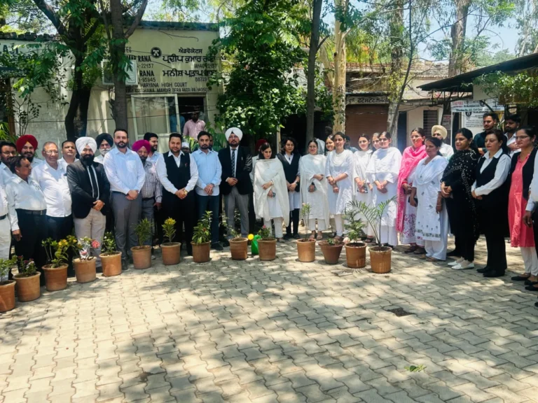 जजों और बार एसोसिएशन ने पर्यावरण दिवस मनाते हुए पौधे लगाए