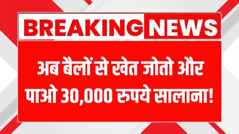 किसानों को 30,000 रुपये का फायदा: पारंपरिक खेती को पुनर्जीवित करने की योजना