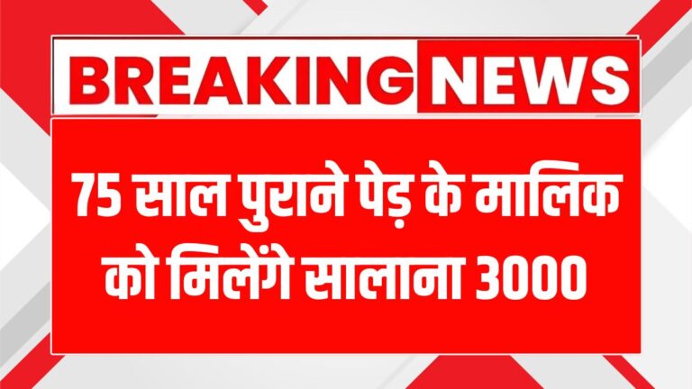 हरियाणा सरकार ने 75 साल पुराने पेड़ों को दी पेंशन, जानें कैसे!