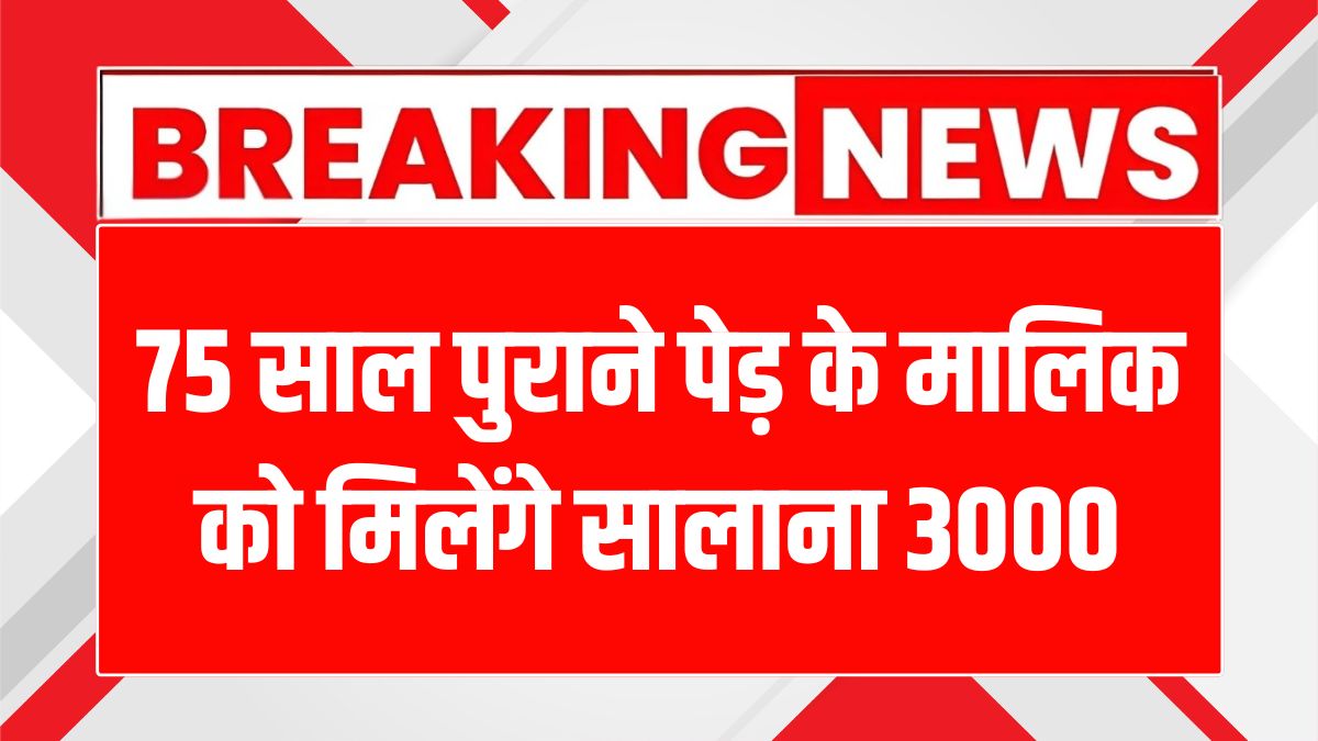 हरियाणा सरकार ने 75 साल पुराने पेड़ों को दी पेंशन, जानें कैसे!