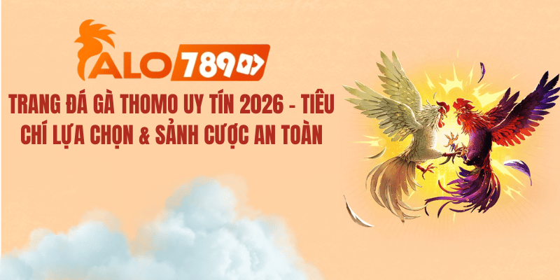 Trang Đá Gà Thomo Uy Tín 2026 – Tiêu Chí Chọn & Sảnh Cược An Toàn
